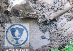 双鸭山水管漏水检测公司5